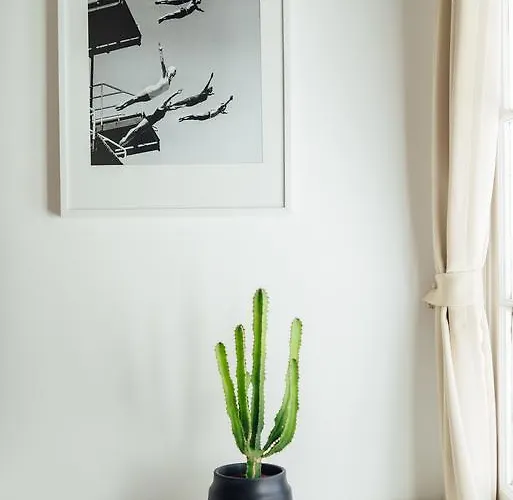 Oli's Flat Nizza
