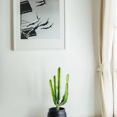 Oli's Flat Nice
